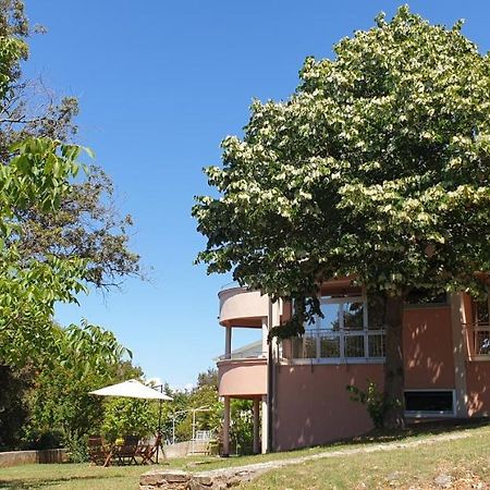 Apartments Seafront Villa พูลา ภายนอก รูปภาพ